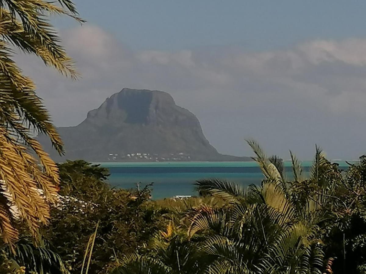 Terre Et Mer - Studios - Ile Maurice Rivière Noire Esterno foto