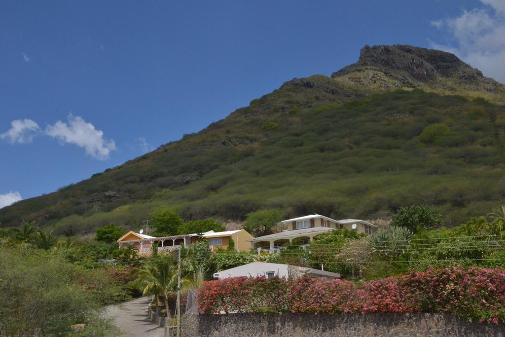 Terre Et Mer - Studios - Ile Maurice Rivière Noire Esterno foto