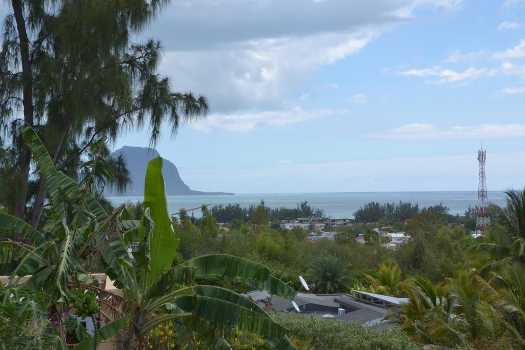 Terre Et Mer - Studios - Ile Maurice Rivière Noire Esterno foto